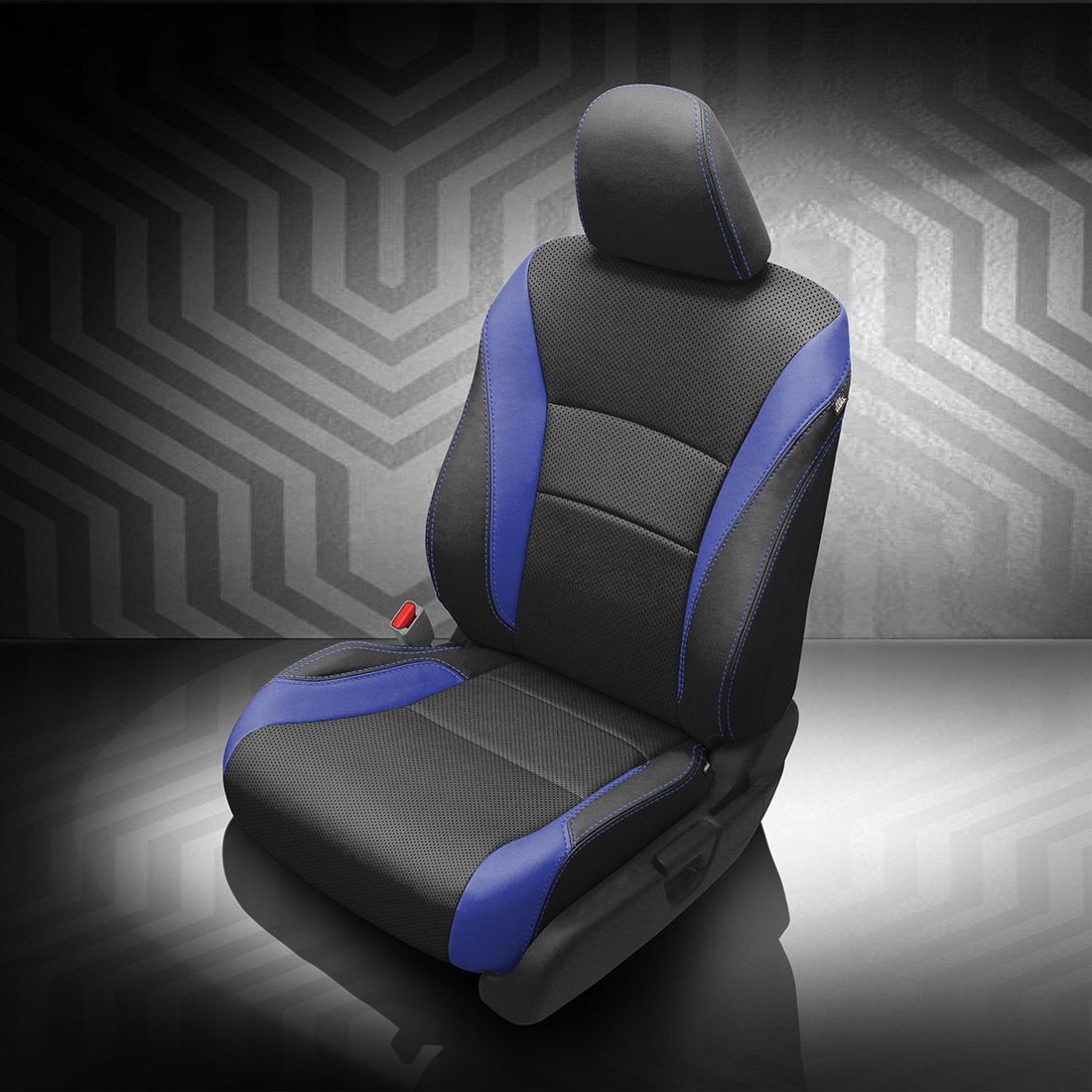 BLACK wrap, COBALT Wings, Perf Body, COBALT contrast all stitch