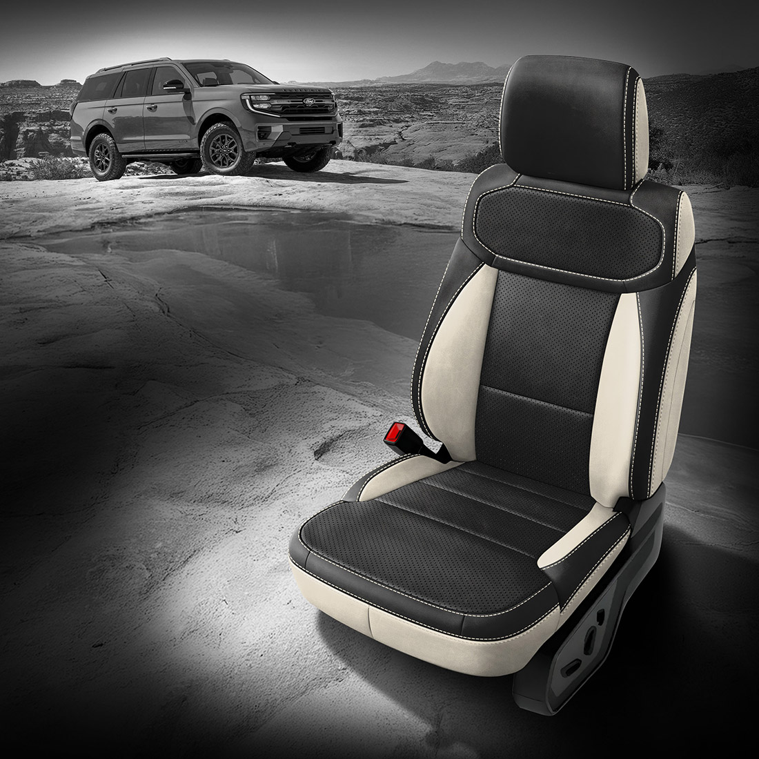 PEARL wrap, BLACK Facing, Perf Body, PEARL contrast all stitch, PEARL wings