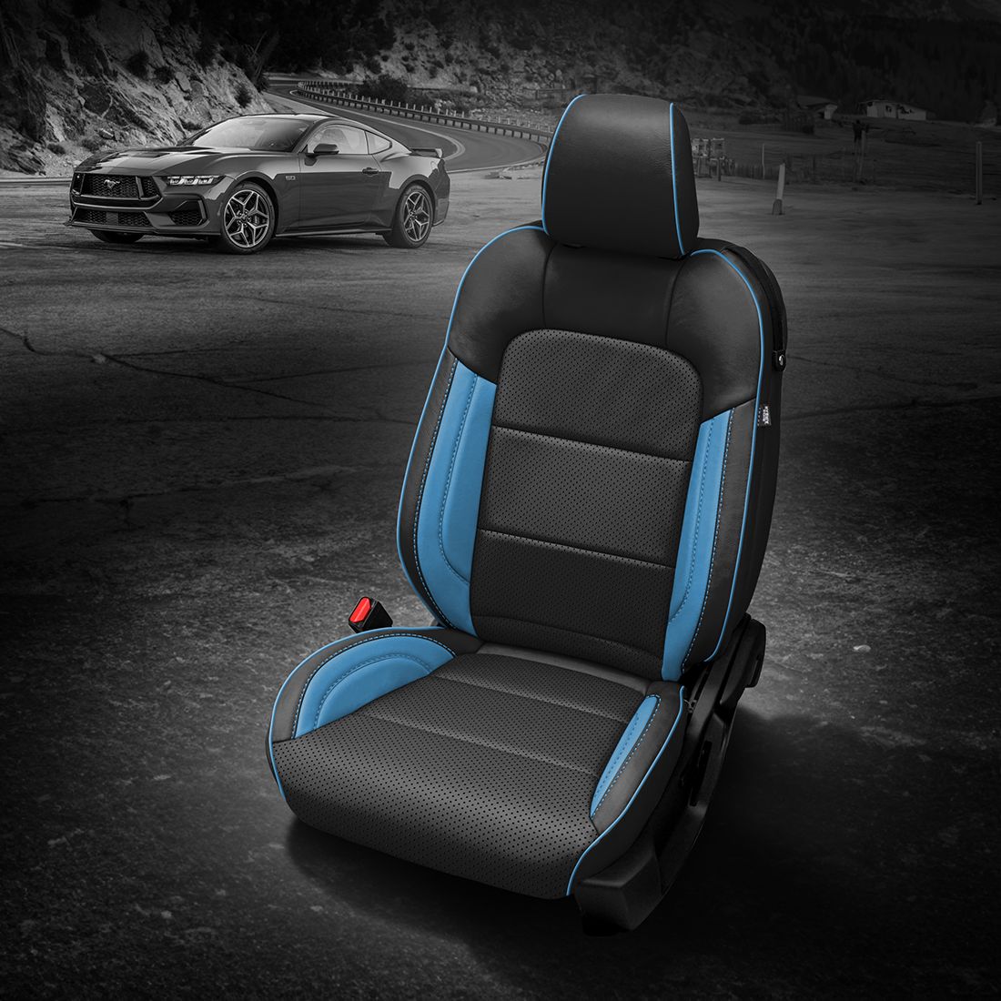 BLACK wrap, BLACK Insert, Perf Combo, BAHAMA piping, BAHAMA (EXOTIC VINYL) wings