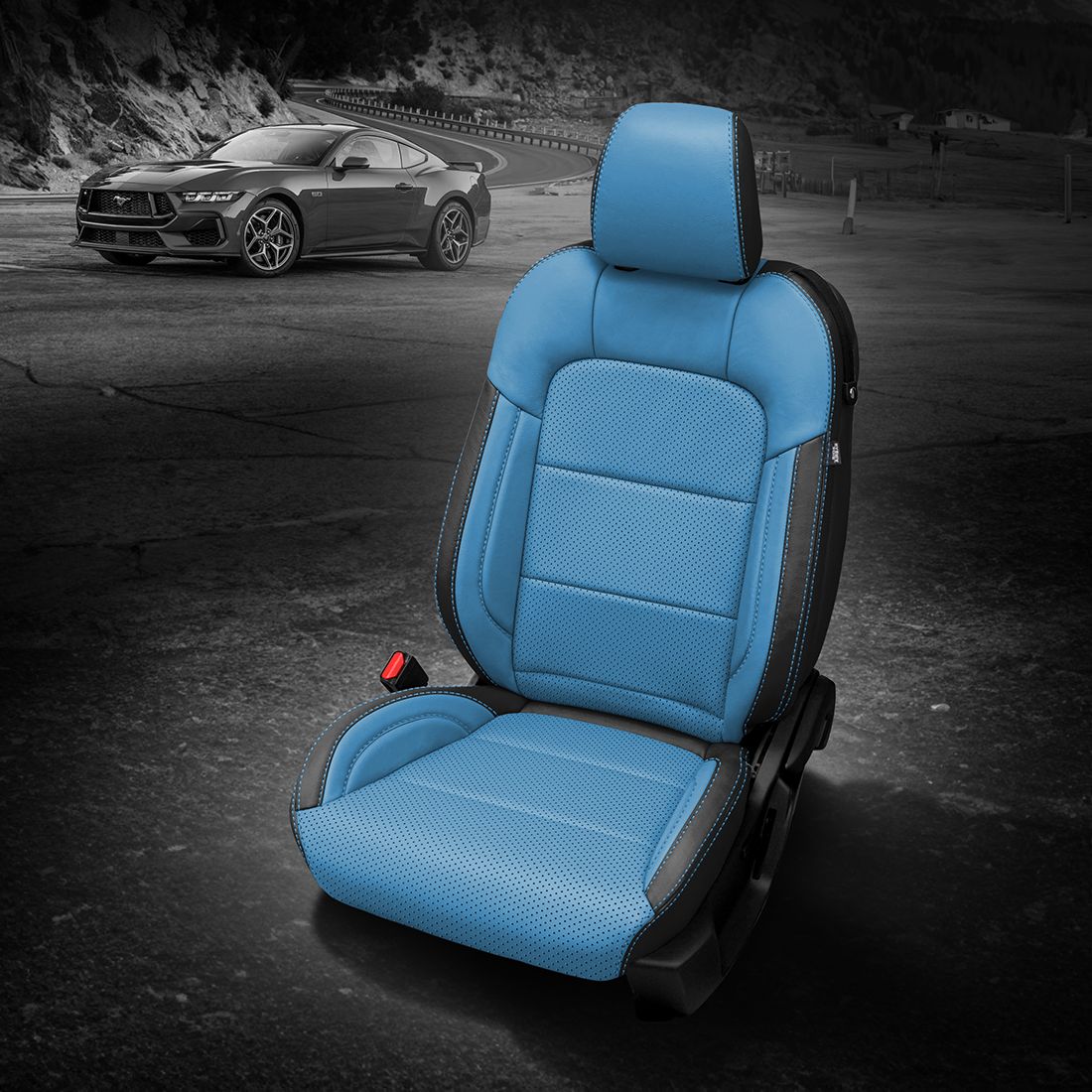 BLACK wrap, BAHAMA (EXOTIC VINYL) Center, Perf Combo, +BAHAMA contrast all stitch, BAHAMA (EXOTIC VINYL) wings