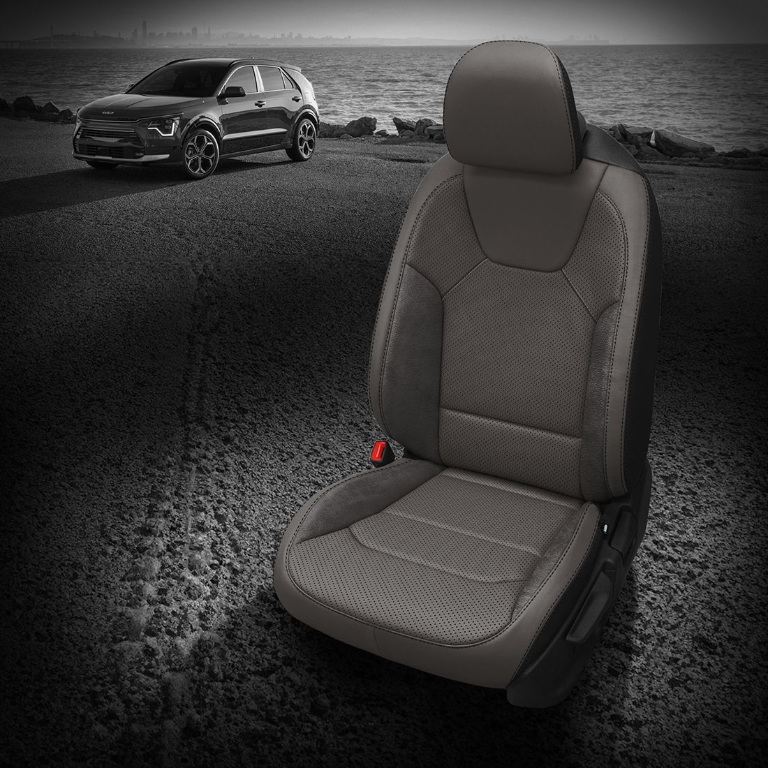 BLACK wrap, LT GREY Facing, Perf Combo, BLACK contrast all stitch, ~6929 DARK SLATE wings