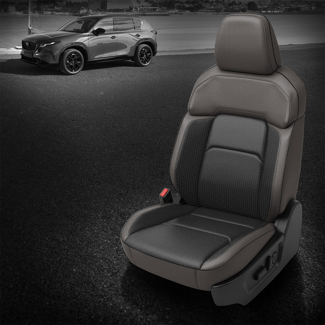 LT GREY wrap, BCDA FLINT Combo, BLACK piping, BCDA FLINT wings