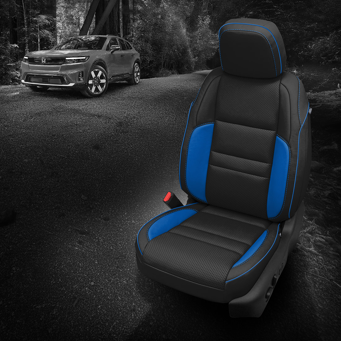 BLACK wrap, BERMUDA (EXOTIC VINYL) Wings, Perf Body, BERMUDA piping