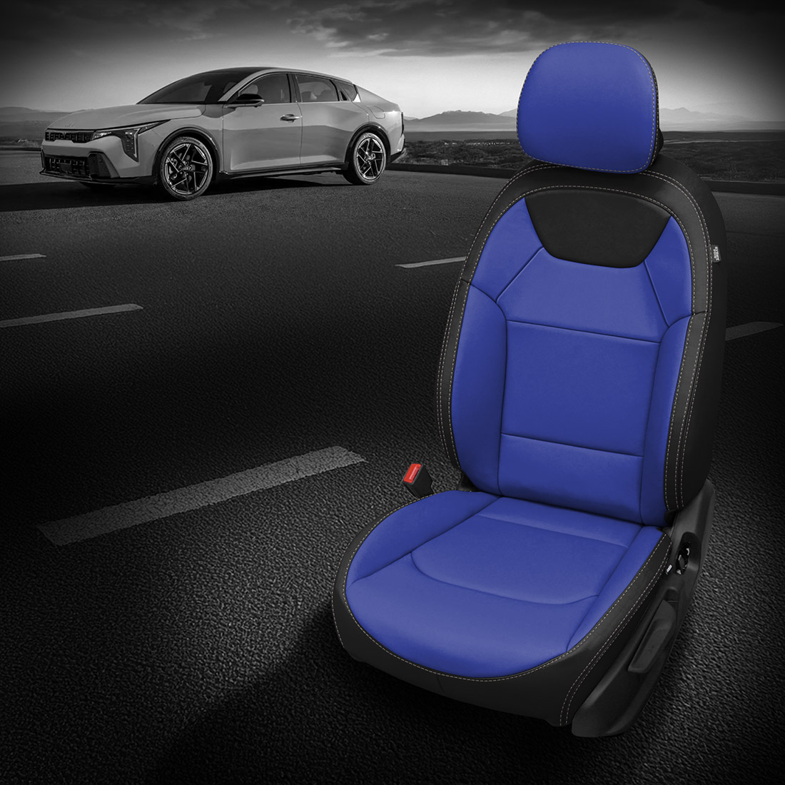 BLACK wrap, COBALT Center, ASH contrast all stitch, COBALT wings